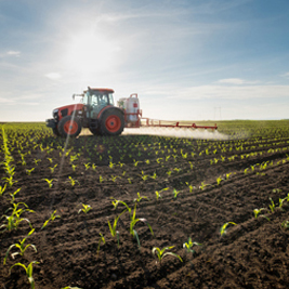 Agriculture & Aquaculture